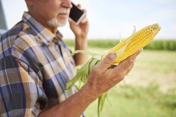 farmer-holding-corn